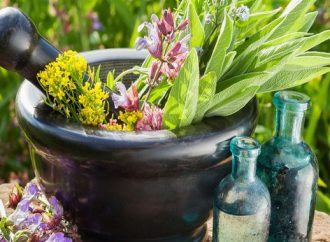 139 çeşit tıbbi aromatik ve süs bitkisine Hazine desteği!