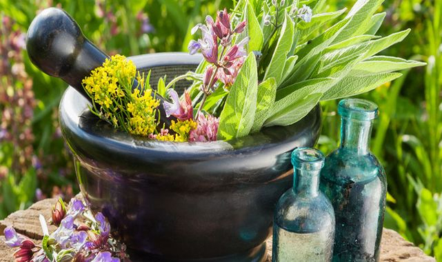 139 çeşit tıbbi aromatik ve süs bitkisine Hazine desteği!