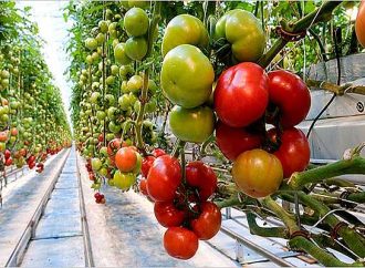 Yeni yatırım aracı: Tarım arazileri!