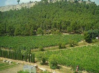 Atatürk Orman Çiftliği imara açıldı!