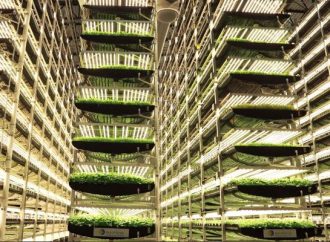 Dikey tarım tesisi kurulacak!