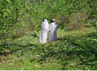 Karadeniz'de bir ilk! Araplar Ordu'dan fındık bahçesi satın aldı!