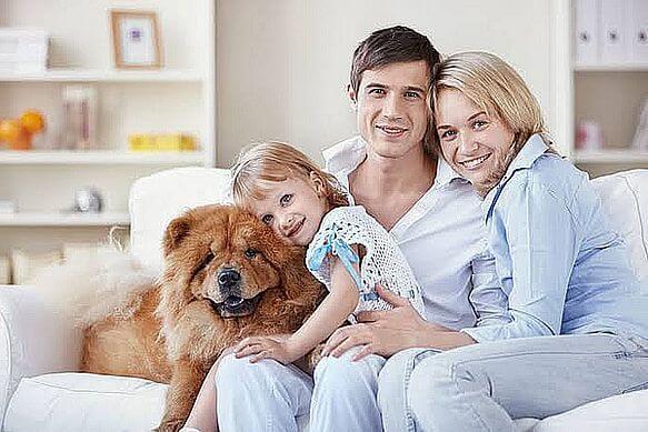 Apartmanda kedi köpek besleyenler dikkat!