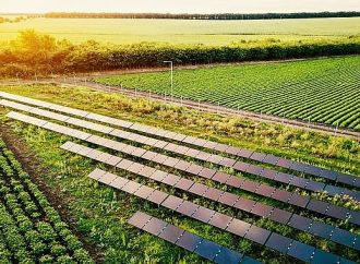Sürdürülebilirlik ve İklim Lideri Wilo’ya Ege Orman Vakfı’ndan Gold Standart VER Sertifikası!