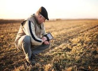 Hiç toprağı olmayana 10 yıllığına kiralama fırsatı!