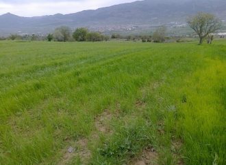 Şimdi tarla alma zamanı!