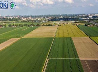 TOKİ'den 18 ilde satılık daire! Bugün satılıyor..